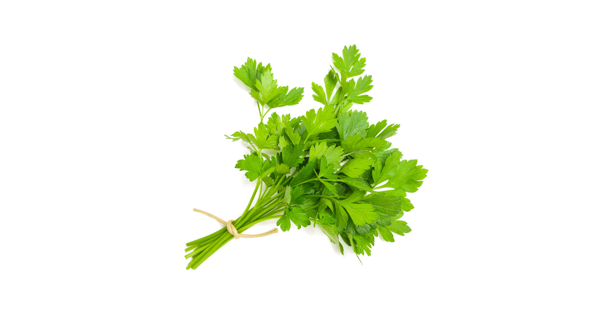 Délicieuse recette de salade de coriandre