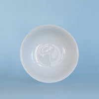 FAMISHED SMALL DISH