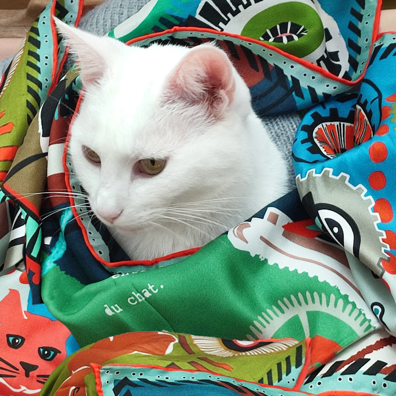 QUANTUM SCARF