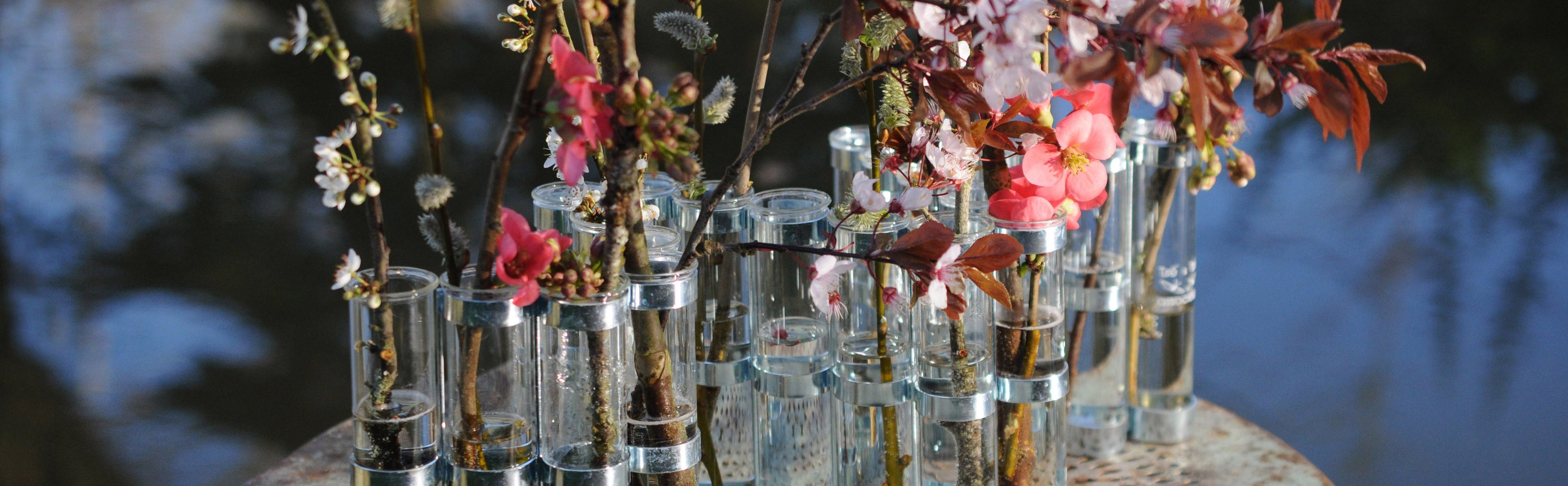 Vase composé de 21 tubes en verre, s'appelant le vase d'avril