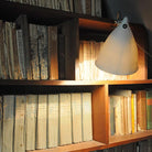 lampe à pince en porcelaine éclairant une bibliothèque - tsé tsé
