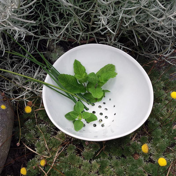 herbes aromatiques dans un bol perforé en porcelaine blanche - tsé tsé