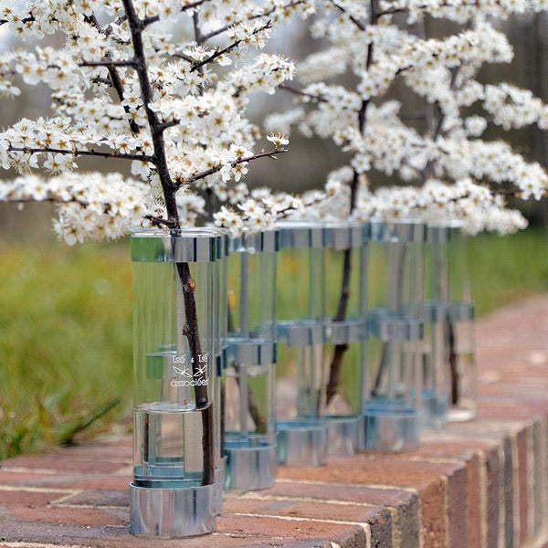vase articulé avec des tubes en verre et des fleurs blanches - tsé tsé